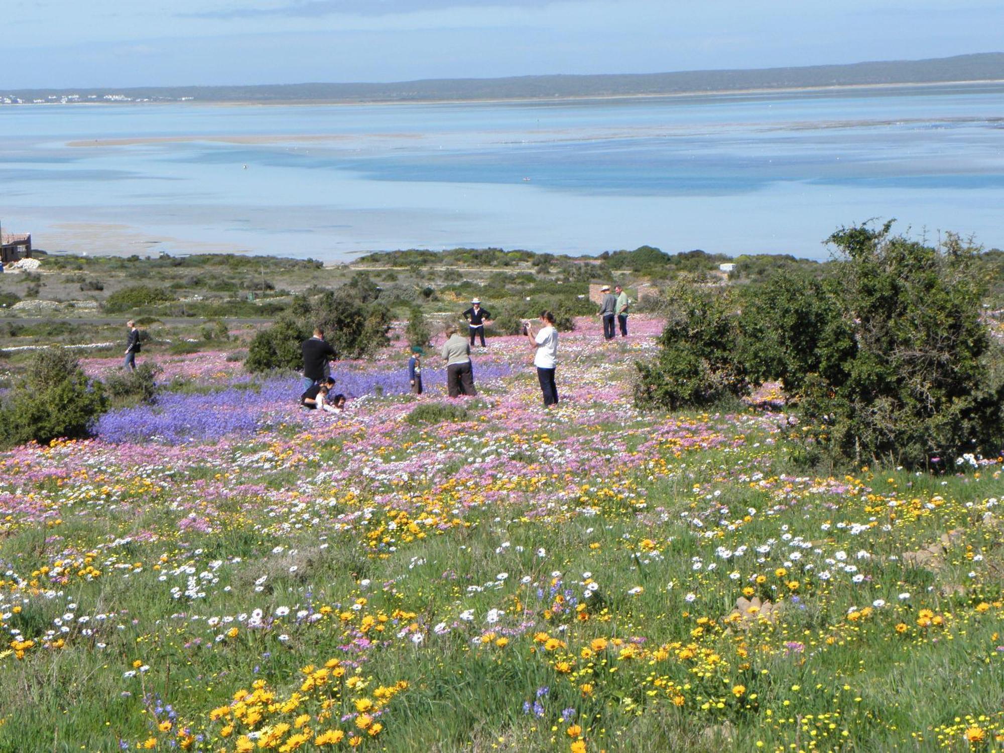 Le Mahi Guest House Langebaan Exterior photo